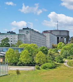 Stambyte utfört på hösten